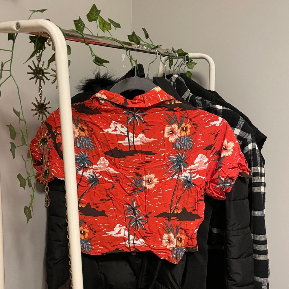Red Button Up Crop Top - Picture 2 of 2